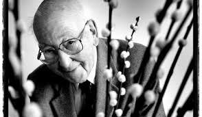 Albert Bontridder