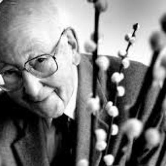 Albert Bontridder
